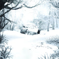 Weezer - Sznz: Winter - Music CD