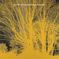 Nada Surf - Stars Are Indifferent To Astronomy - Vinyl Record