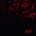 Osi - Blood - Music CD