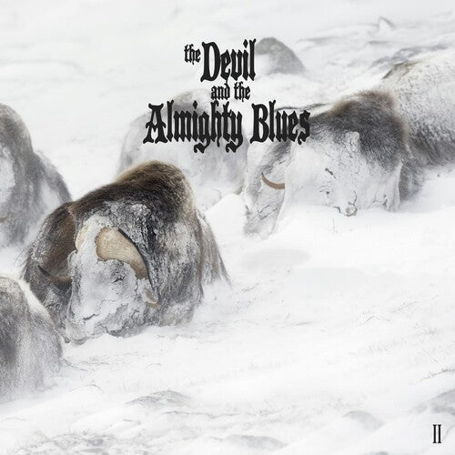 Devil & The Almighty Blues - Ii - Vinyl Record