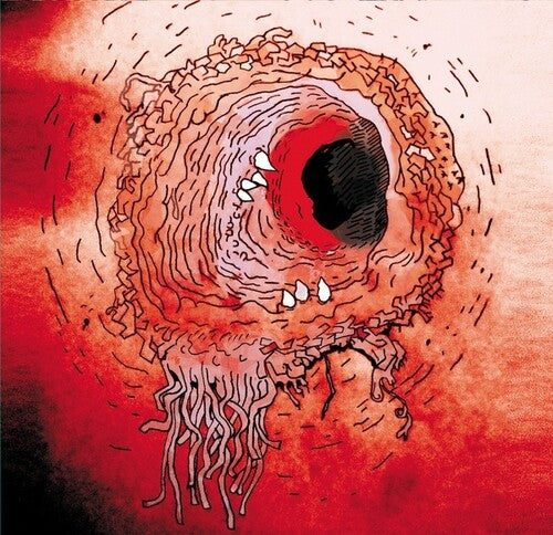 Flying Luttenbachers - Terror Iridescence - Vinyl Record