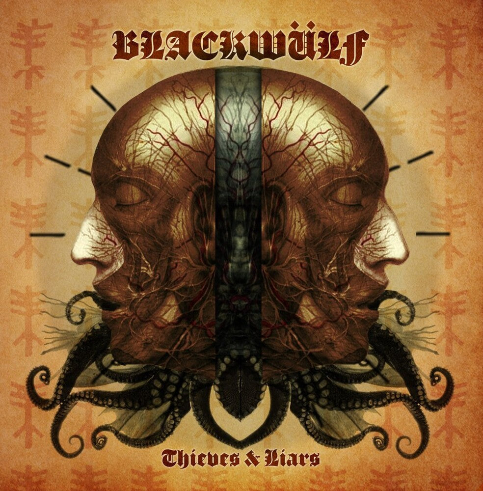 Thieves And Liars [LP] Vinyl Record