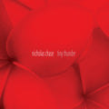 Chase / Pezzone - Tiny Thunder - Music CD