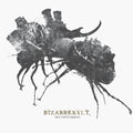 Bizarrekult - Den Tapte Krigen - Music CD