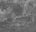 Ranta,michael - Die Mauer - Music CD