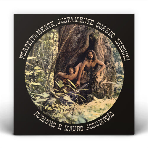 Rubinho E Mauro Assumpcao - Perfeitamente Justamente Quando Cheguei - Vinyl Record