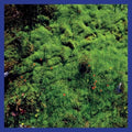 Puech,matthias - Mt Hadamard National Park - Vinyl Record