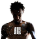 Tricky - False Idols - Vinyl Record