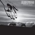 Subhumans - From The Cradle To The Grave - Vinyl Record