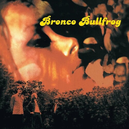 Bronco Bullfrog - Bronco Bullfrog - Vinyl Record