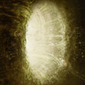 Omega Infinity - Anticurrent - Vinyl Record
