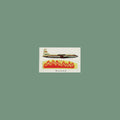 Karate - Karate - Wintergreen - Vinyl Record