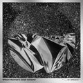 Basinski,william / Schaefer,janek - ". . . On Reflection" - Vinyl Record