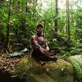 Polobi & The Gwo Ka Masters - Abri Cyclonique - Music CD