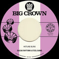 Bacao Rhythm & Steel Band - Hotline Bling B/w Murkit Gem - Vinyl Record