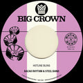 Hotline Bling B/W Murkit Gem [7" Vinyl] Vinyl Record