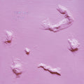 Debt Rag - Lost To The Fantasy - Vinyl Record