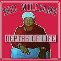 Williams,boo - Family Affair Vol. 1 / Various - Vinyl Record