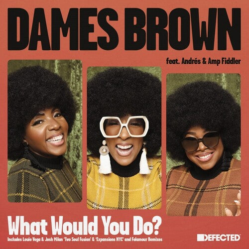 Brown,dames - What Would You Do? (remixes) - Vinyl Record