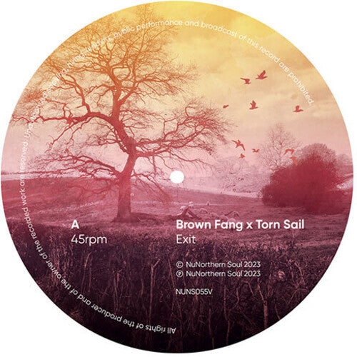 Brown Fang & Torn Sail - Network Remixes: Vol. 1 Sampler / Various - Vinyl Record