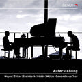 Mahler / Meyer / Zoller - Auferstehung - Music CD