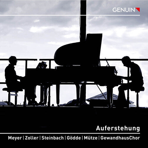 Mahler / Meyer / Zoller - Auferstehung - Music CD