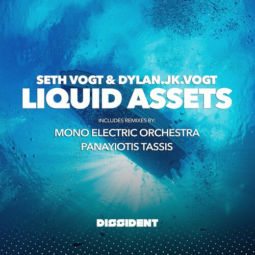 Vogt,seth & Dylan.jk.vogt - Liquid Assets - Music CD