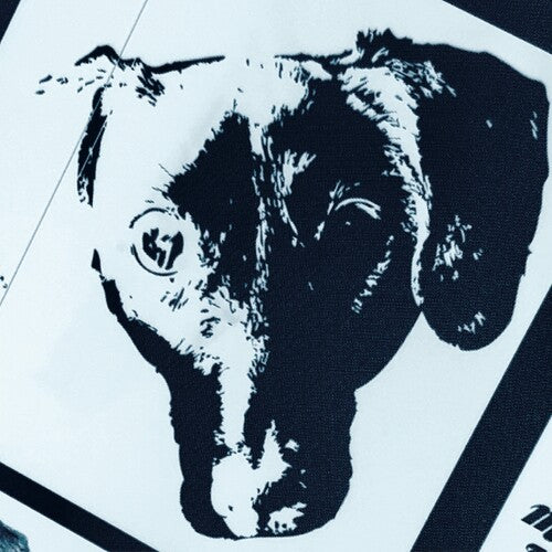 Leonhart,michael Orchestra - Denial - O.s.t. - Vinyl Record
