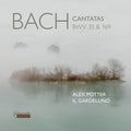 Bach,j.s. / Potter / Doeselaar - Bach Cantatas Bwv 35 & 169 - Music CD