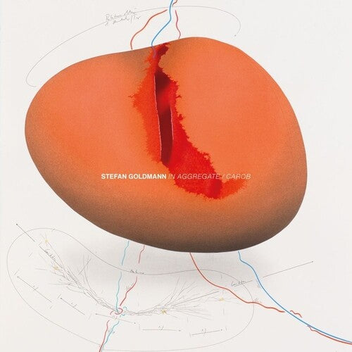 Goldmann,stefan - In Aggregate / Carob - Vinyl Record