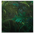 Tunico - Tunico - Music CD