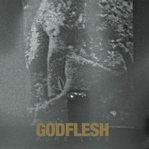 Godflesh - Pure Live