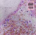 Soccer Mommy - Sometimes, Forever [Indie Exclusive Limited Edition Alternate Cover CD]