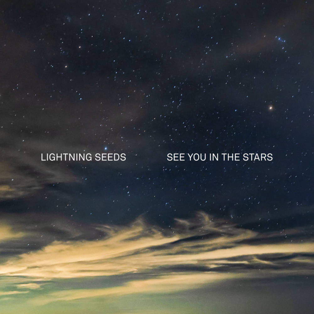 See You In The Stars [Indie Exclusive Limited Edition Midnight Blue Smoky LP] Vinyl Record