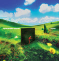 Rainbow Kitten Surprise - bones [CD]