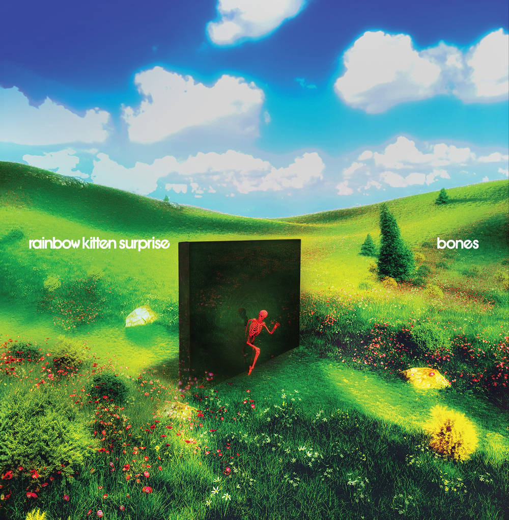 Rainbow Kitten Surprise - bones [CD]