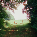 Ratboys - Singin' to an Empty Chair [Indie Exclusive Autographed CD]