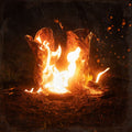 Ben Fuller - Walk Through Fire [180 Gram]