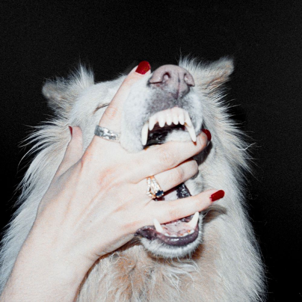 [PRE-ORDER] Pre-Order: Hush [LP] Vinyl Record