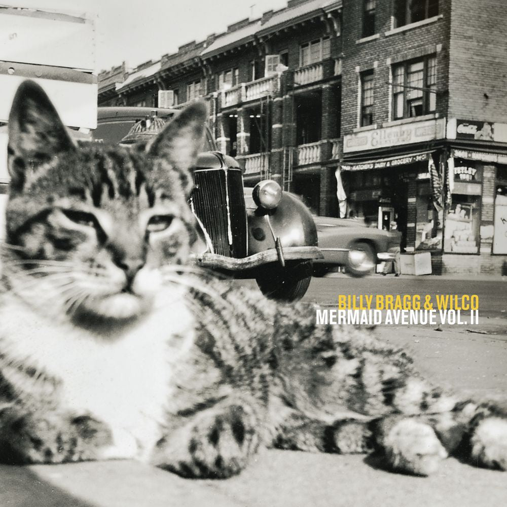 PRE-ORDER: Mermaid Avenue Vol. II - [180g Black] Vinyl Record