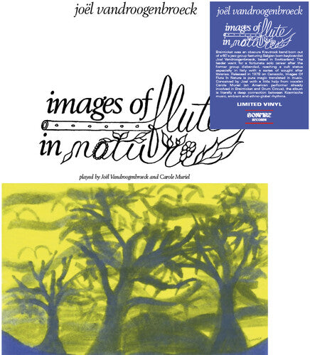 Vandroogenbroeck,joel - Images Of Flute In Nature - Vinyl Record