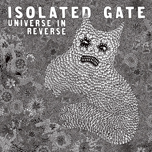 Isolated Gate - Universe In Reverse - Vinyl Record