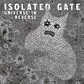 Universe In Reverse [Limited Edition] Vinyl Record