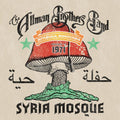 Allman Brothers Band - Syria Mosque: Pittsburgh, Pa January 17, 1971 - Vinyl Record