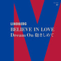 Believe In Love / Dream On Dakishimete [7" Vinyl] Vinyl Record