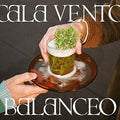 Cala Vento - Balanceo