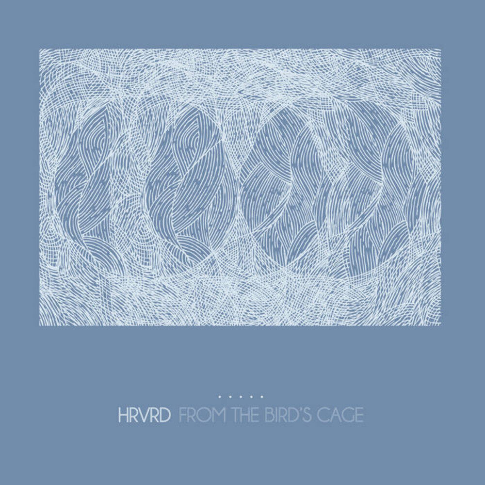 From The Bird's Cage - Clear/Blue Splatter (Blue) [LP] Vinyl Record