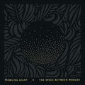Howling Giant - Space Between Worlds - Vinyl Record