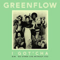 Greenflow - I Got'cha B/w No Other Life Without You - Vinyl Record