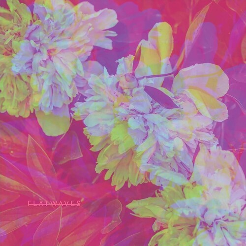 Flatwaves - Numbra - Vinyl Record